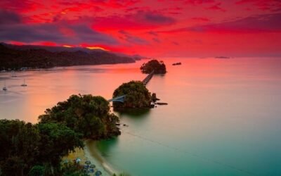 Samaná Full-Day Tour